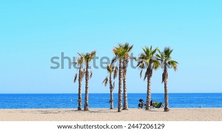 Hamock between palmtrees on the beach