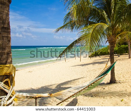 Hamock between two palm trees on stunning beach in Grand Cayman