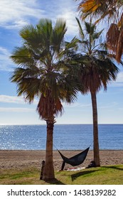 Hamock between two palmtrees on a grass hill at the beach with sea view. Sunny day with blue sky and some clouds at the beach. 