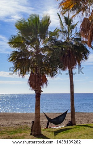 Hamock between two palmtrees on a grass hill at the beach with sea view. Sunny day with blue sky and some clouds at the beach. 