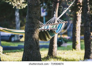 hamock in a park