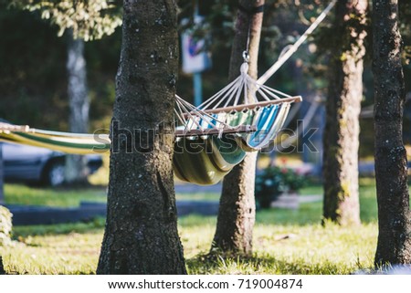 hamock in a park