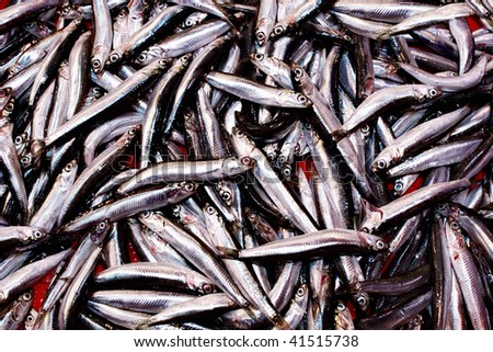 Similar – Image, Stock Photo ANCHOA CLUSTER Chrome