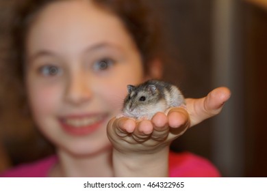 Hamster