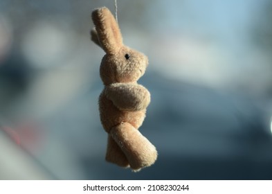 Hamster Toy Photograph With Depth Of Field