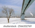 Han River filled with snow and ice, Dangsan Bridge