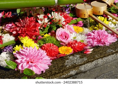Hanachouzu in Shorinji Temple precincts
Hanachouzu refers to the arrangement of flowers and plants on the surface of a water basin in shrines or temples in Japan. - Powered by Shutterstock