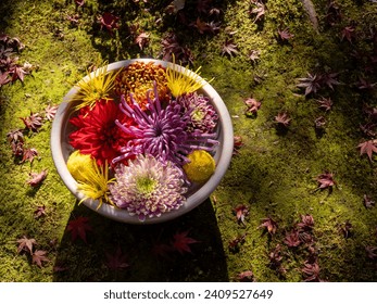 Hanachozu, an artistic flower display with flowers floating in a bowl of water, Japanese garden art in Kyoto - Powered by Shutterstock