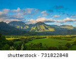 Hanalei Valley