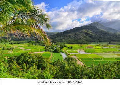 Hanalei Valley Kauai, Hawaii