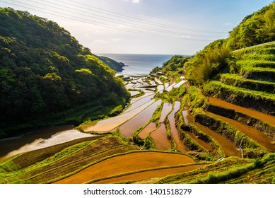 Hanamanoura Tanada, Sunset On The Rice Field, Kyushu, Japan