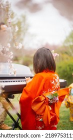 Hanami Festival - Playing Piani