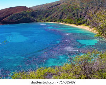 Hanauma Bay Oahu Hawaii