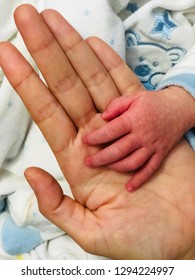 Hand to hand. Mother’s hand and baby’s hand.