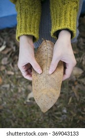 Hand