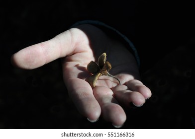 Hand