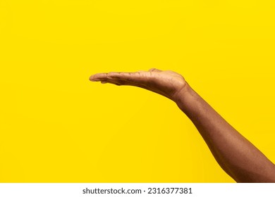 hand of african american man holds blank on yellow isolated background, guy asks and holds empty palm, close-up - Powered by Shutterstock