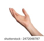 Hand arm isolated white take up hold person. Reach grab man gesture open out background human catch empty. Reaching space product finger object palm adult. Skin young studio
