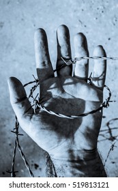 Hand In Barb Wire Close Up - Blue Toned Image