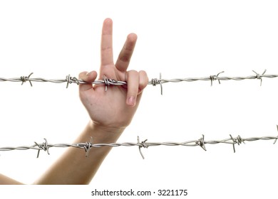 Hand & Barbed Wire