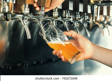 Hand of bartender pouring a large lager beer in tap. - Shutterstock ID 742672648