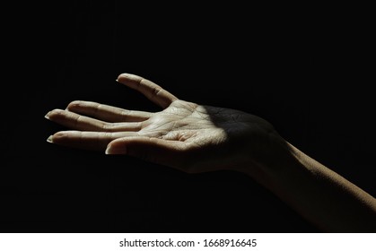 743 Reaching desperate Stock Photos, Images & Photography | Shutterstock