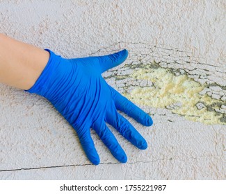 Hand In Blue Medical Glove Against A Concrete Wall.