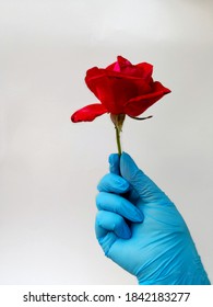 Hand in blue medical glove holding red rose in plain background. Concept of lifesaving by medical staff. Protection of life in the hands of doctors. Symbol of gratitude for saving patients lives - Shutterstock ID 1842183277
