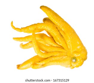 Hand of Buddha - exotic fruit citrus family