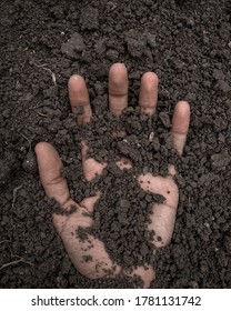 Hand Buried In The Soil.