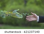 Hand of a businessman reach out towards hand of the nature