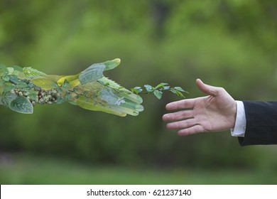 Hand Of A Businessman Reach Out Towards Hand Of The Nature