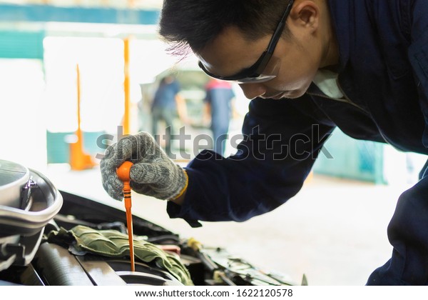 Hand of car mechanic check engine oil for
maintenance in garage service
car.