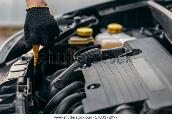 Hand\
of car mechanic check engine oil for maintenance\
.