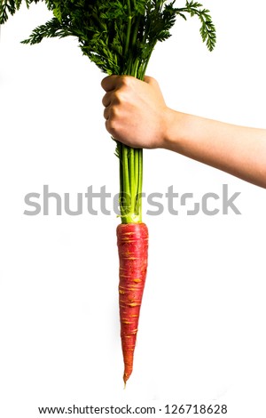 Similar – Image, Stock Photo Child holds two peppers