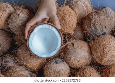 Hand carry piece of coconut for made virgin oil. Raw coconut make virgin oil cold pressed for good fat no cholesterol. Coconut milk and oil can eat wash or clean cosmetics. - Shutterstock ID 2258172783