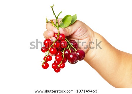 Similar – Foto Bild Kinderhand hällt frische Johannisbeeren