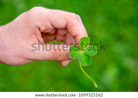 Similar – young hand in turquoise jacket holds four-leaf green clover