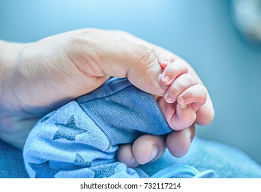 the hand of the child holds the hand of an adult