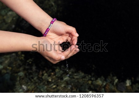 hand of child with many black tadpoles caught in the pond