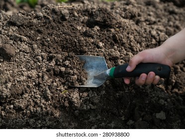 Hand Of  Child Using A Shovel Digging Ground