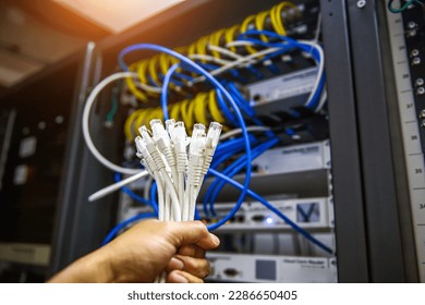 Hand choose lots of RJ45 UTP Cat6 LAN internet network cable fiber optic and Lots of Ethernet cables for data link connect computer server networking devices system to switch or hub modem router. - Shutterstock ID 2286650405