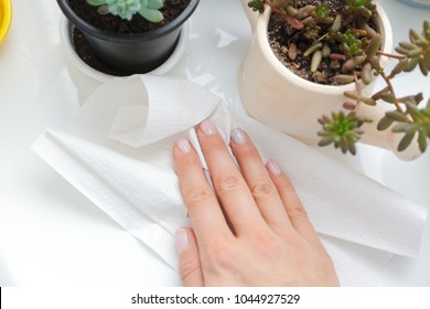 Hand Cleaning With Paper Towel