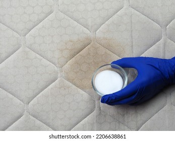 Hand Cleaning Surface Of Mattress With Baking Soda. Ecological Cleaning And Disinfection Of Surfaces. Copy Space.