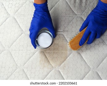 Hand Cleaning Surface Of Mattress On Bed With Brush And Baking Soda. Ecological Cleaning And Disinfection Of Surfaces. Hands In Gloves Do Mattress Chemical Cleaning. Copy Space.