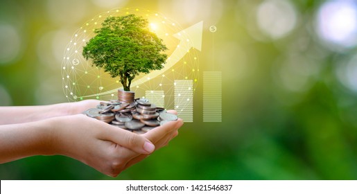 hand Coin tree The tree grows on the pile. Saving money for the future. Investment Ideas and Business Growth. Green background with bokeh sun - Shutterstock ID 1421546837