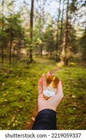 Hand With Compass In Forest Terrain. POV Travel Concept.