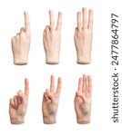 Hand counting fingers. One, two, three, isolated sign. Gesture showing quantity, score, number. Countdown set. Palmar, dorsal views. Maths language collection. white background.