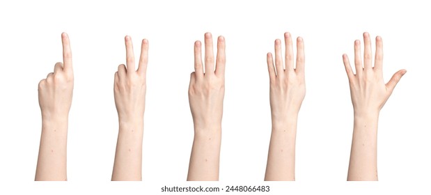 Hand counting, fingers showing digits, numbers from one to five, isolated on white background. - Powered by Shutterstock