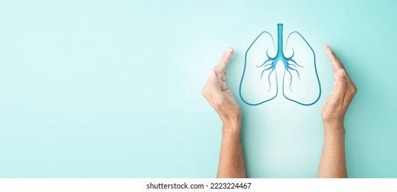 hand cover sign symbol of lung for lung disease protection, World Lung Cancer Day, world tuberculosis day or other each about lung health - Shutterstock ID 2223224467